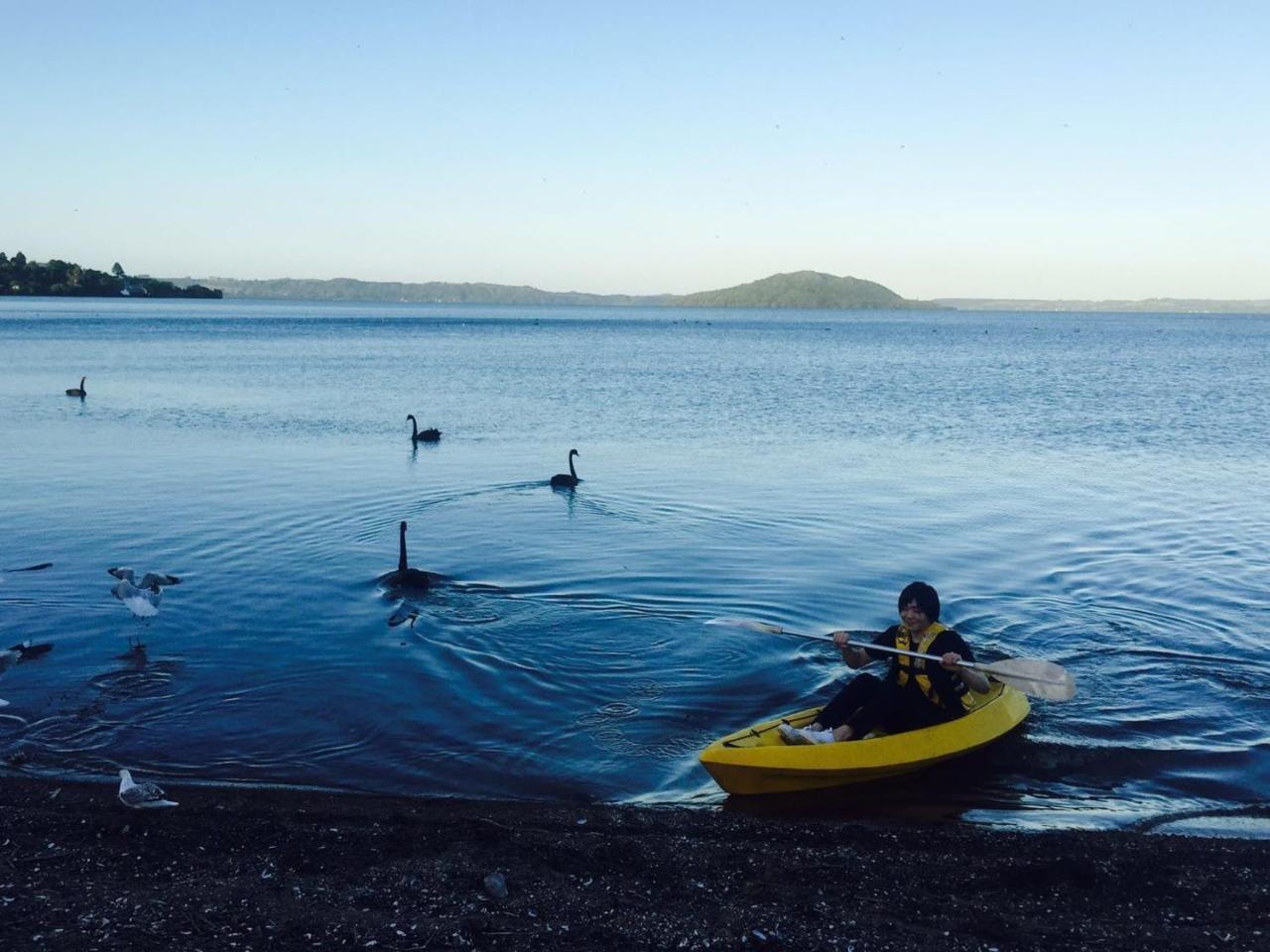 Super Lake Edge Lodge Rotorua Exterior foto